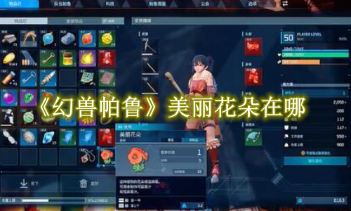 幻兽帕鲁美丽花朵在哪