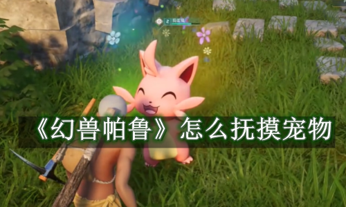 幻兽帕鲁怎么抚摸宠物