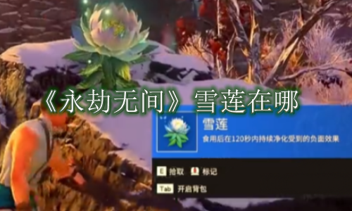 永劫无间雪莲在哪
