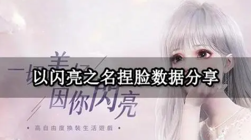 以闪亮之名海烟捏脸数据是什么
