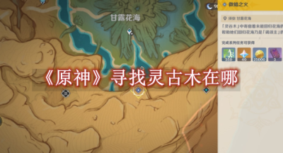 原神寻找灵古木在哪