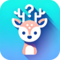 小鹿成语app