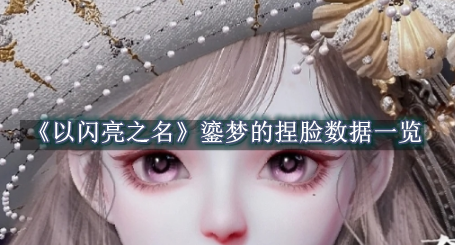 以闪亮之名鎏梦的捏脸数据是什么