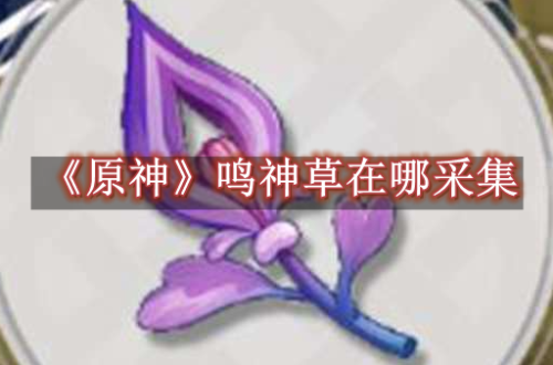 原神鸣神草在哪采集