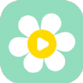 雏菊影视剧app