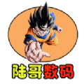陆哥影视仓软件
