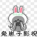 兔崽子影视2代app