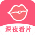 深夜视频播放器免费版