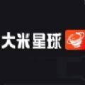 大米星球netflix免vip版