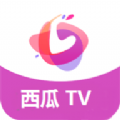 西瓜TV app