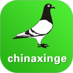 中国信鸽信息网 v20250416