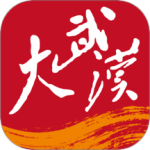  大武汉 v7.6.4