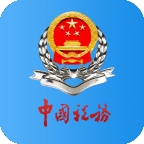 广东税务2025最新版本下载
