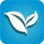 叶子TV盒子版下载