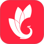 巅峰减重 v3.4.9