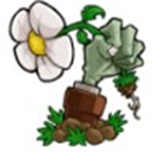 植物大战僵尸启命版游戏