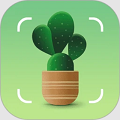 拍照识别植物软件app